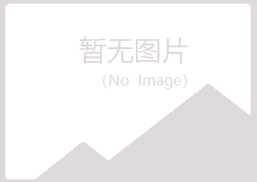 大新县曾经冶炼有限公司